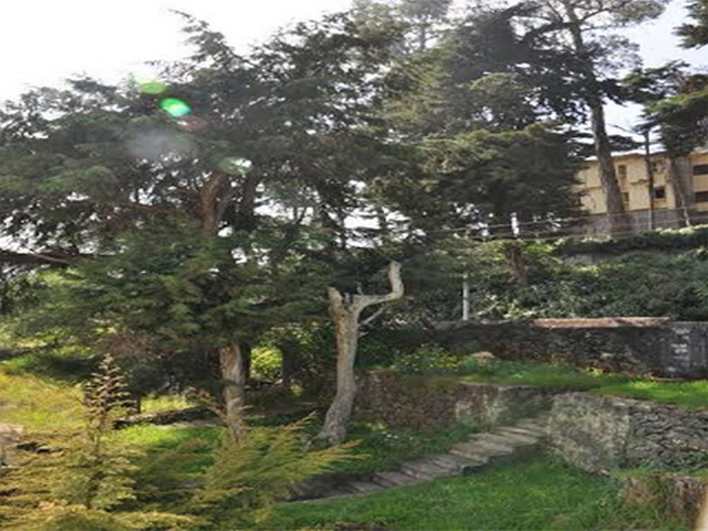 Hill Heaven Home Stay Tamilnadu - Tamilnadu - Kodaikanal Extérieur photo